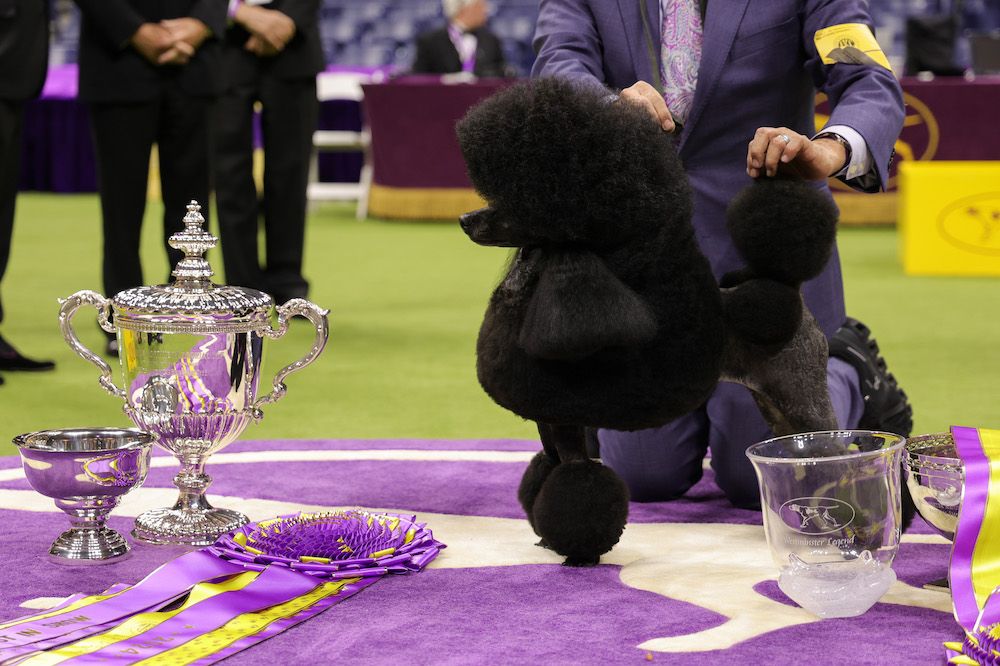 Editorial: June 7, 2024